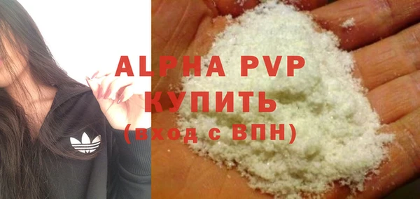 твердый Бородино
