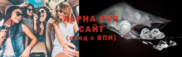 твердый Бородино