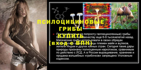 амф Богданович