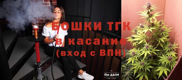 твердый Бородино