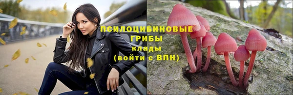 наркотики Богородск