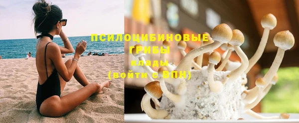 дурь Балахна