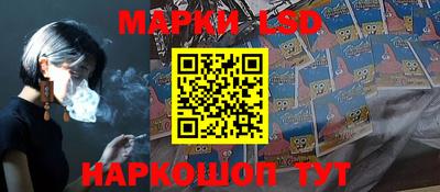дмт Кингисепп
