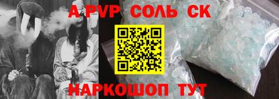 дмт Кингисепп