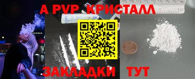 дмт Кингисепп