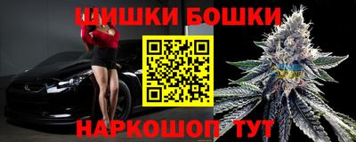 дмт Кингисепп