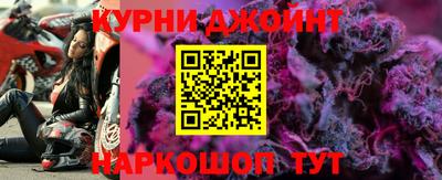 дмт Кингисепп