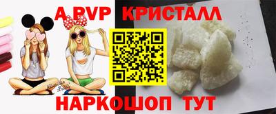 дмт Кингисепп