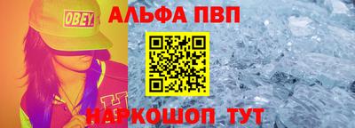 дмт Кингисепп