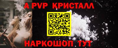 дмт Кингисепп