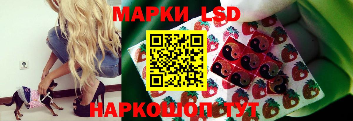Кстово  ЛСД экстази ecstasy  гидра маркетплейс  Вход с VPN  Лсд 25 экстази кислота 