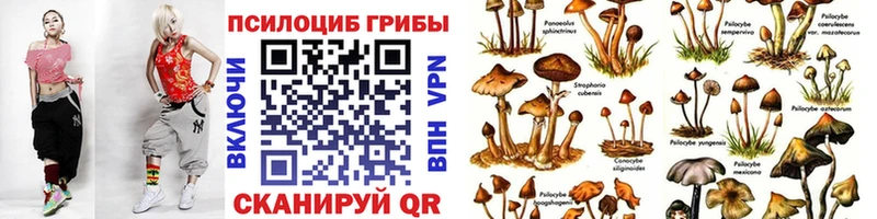 Псилоцибиновые грибы Psilocybe  mega рабочий сайт  Кстово 