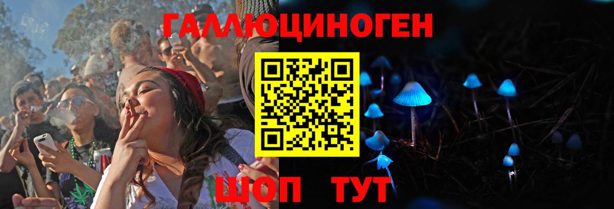 Псилоцибиновые грибы мицелий  Галлюциногенные грибы Psilocybe  Вход с VPN  Кстово 